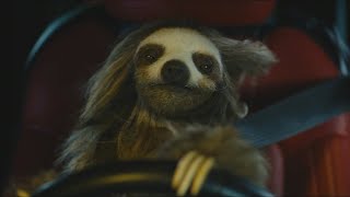 ナマケモノが車で爆走！映画『キラー・ナマケモノ』本編映像