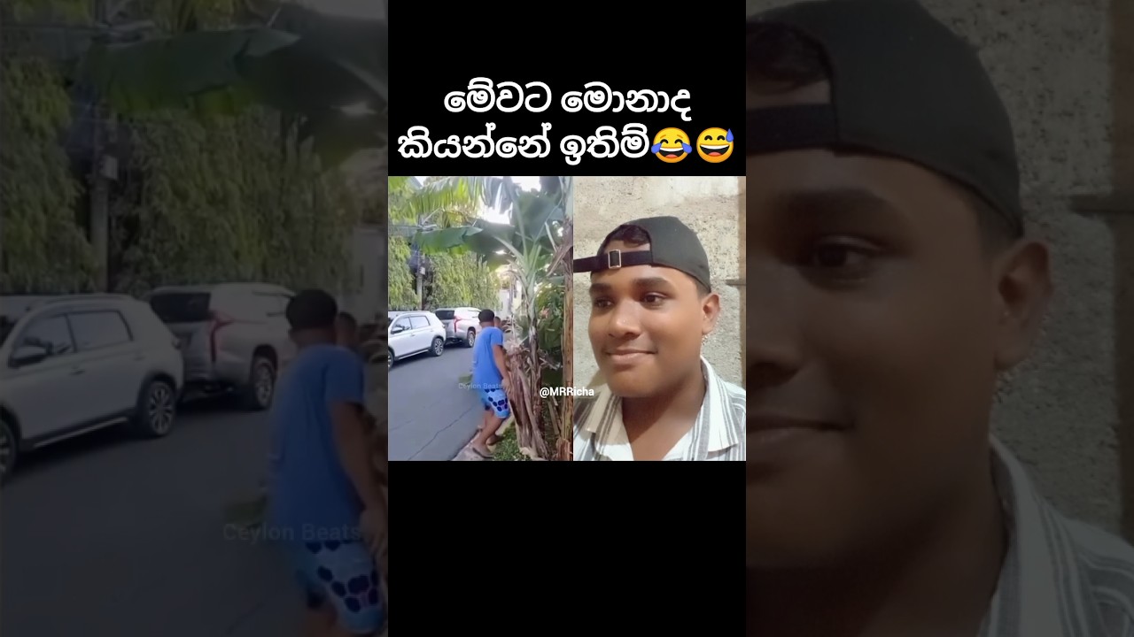 මේවට මොනාද කියන්නෙ😂😅#viral#shorts#trending