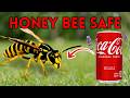 Stop Spraying Wasp Nests — This Is The Trick Exterminators Don’t Want You To Know!