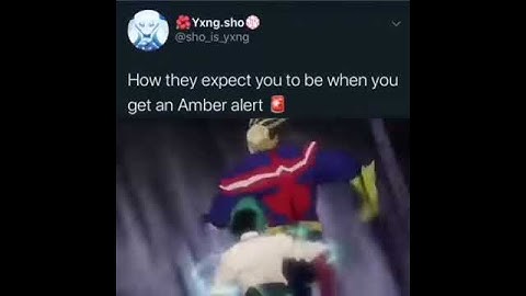 what they expect you to do when a amber alert goes off