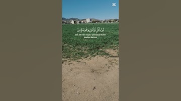 #القرآن_الكريم #راحة_نفسية #تلاوات #لايك #صلوا_على_النبي