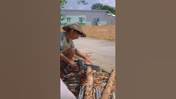 Máy cưa pin cắt cây ở tiktok tui nè #hienonha #fruit #food #shorts