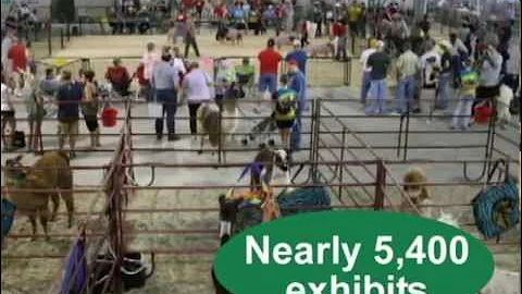 Lancaster County 4-H 2011 Year in Review