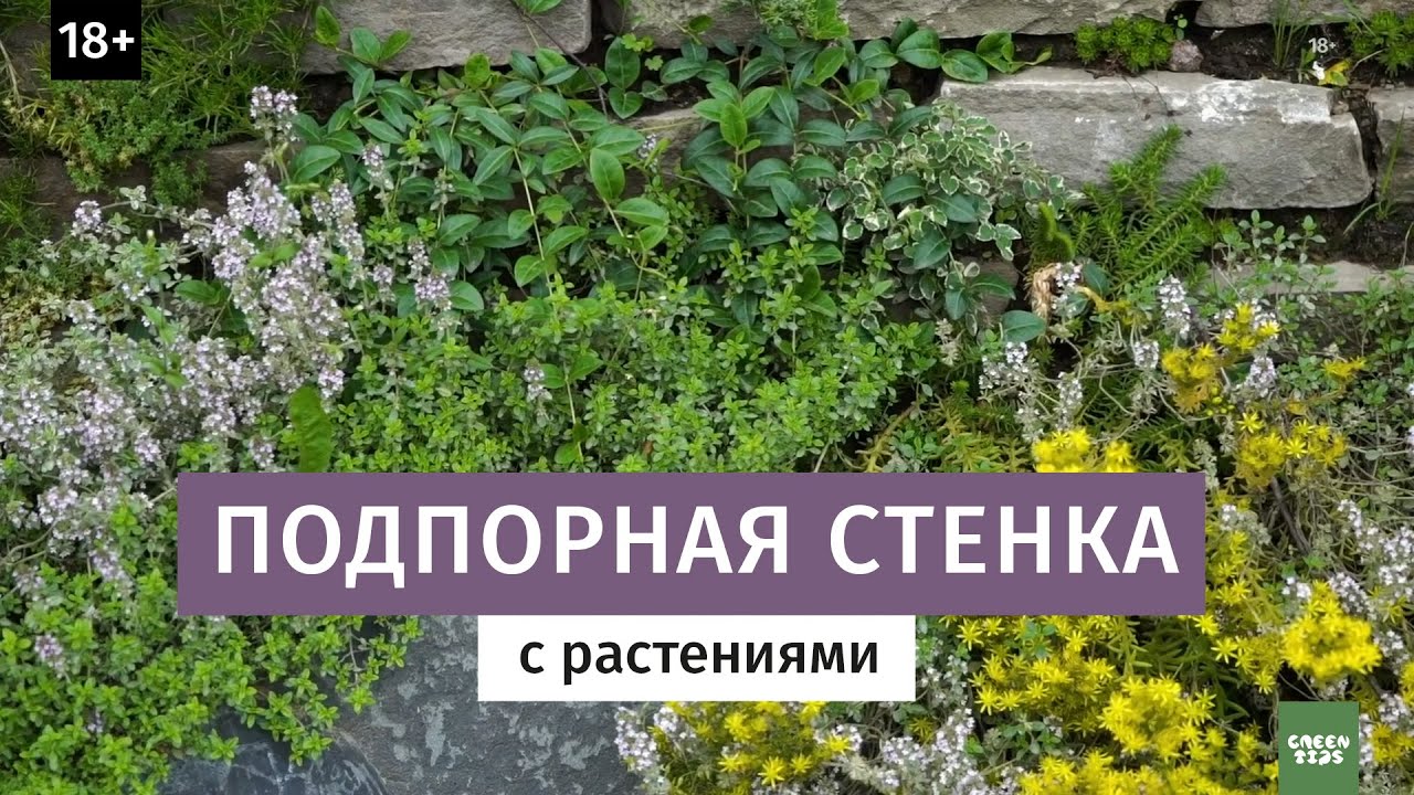 Бесплатные видео-уроки ландшафтного дизайна. ТОП-150