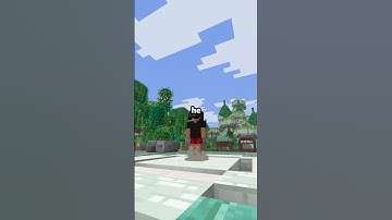 This player is SUPER TALL on my minecraft server!  #minecraft #chunklock