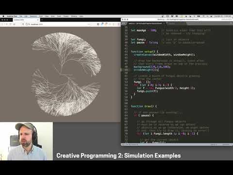 CP2: Snowstorm and Random Growth Examples – Simulation in p5.js