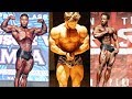 Top 5 Most Aesthetic Physiques at 5 ft 5 inch Height  -Bodybuilding Motivation 🔥