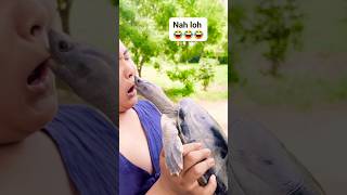 Download Lagu loh loh loh gak bahaya ta #funny #comedy #ngkak #ngakak MP3 Download Lagu loh loh loh gak bahaya ta #funny #comedy #ngkak #ngakak MP3