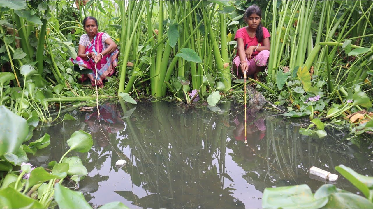 Fishing video new amazing catch hook fishing 🎣 in village canal mud