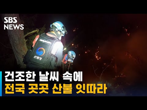 건조한 날씨 속 전국 곳곳 산불…불씨 잡기 안간힘 / SBS