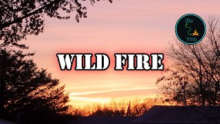 Wild Fire