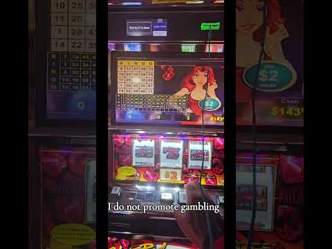 $25 DOLLAR BET New Lightning Link Slot Machine @VegasLowRoller #slots #vegas #casino #lasvegas #vlr