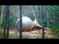Top 10 disturbing discoveries made in the woods in 2024 so far