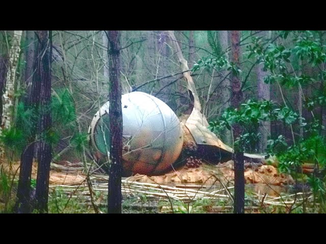 Top 10 Disturbing Discoveries Made In The Woods In 2024 So Far class=