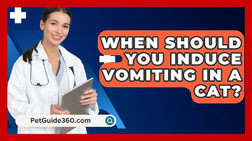 When Should You Induce Vomiting In A Cat? - PetGuide360.com
