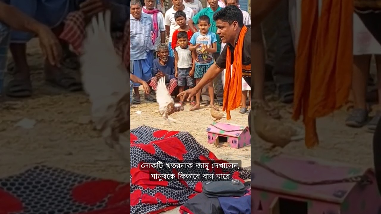 Mira 😱🙏এই লোকটি খতরনাক জাদু দেখালেন// মানুষকে কি করে বান মারে #shorts #jadu en YouTube Mira 😱🙏এই লোকটি খতরনাক জাদু দেখালেন// মানুষকে কি করে বান মারে #shorts #jadu en YouTube