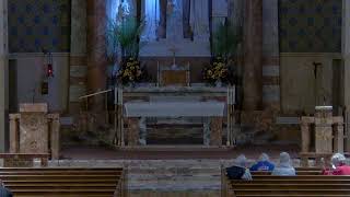 St. Paul the Cross Live Stream