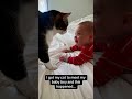 The cat meets the newborn for the first time 🥹🥹💕#cute #kittens #baby #newborn