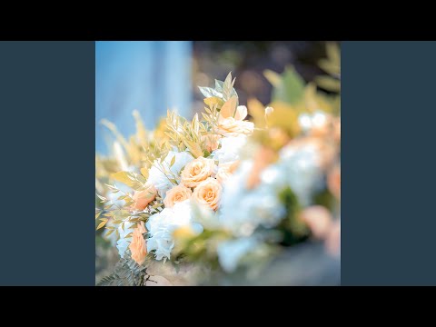 在 YouTube 上观看 再见我的爱