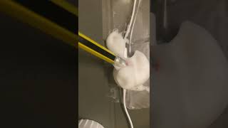 #asmr #relax #asmr1minute #aadiasmr #asmrad #mouthsounds #tingles #adi #adiasmr #asmradihaircut #new