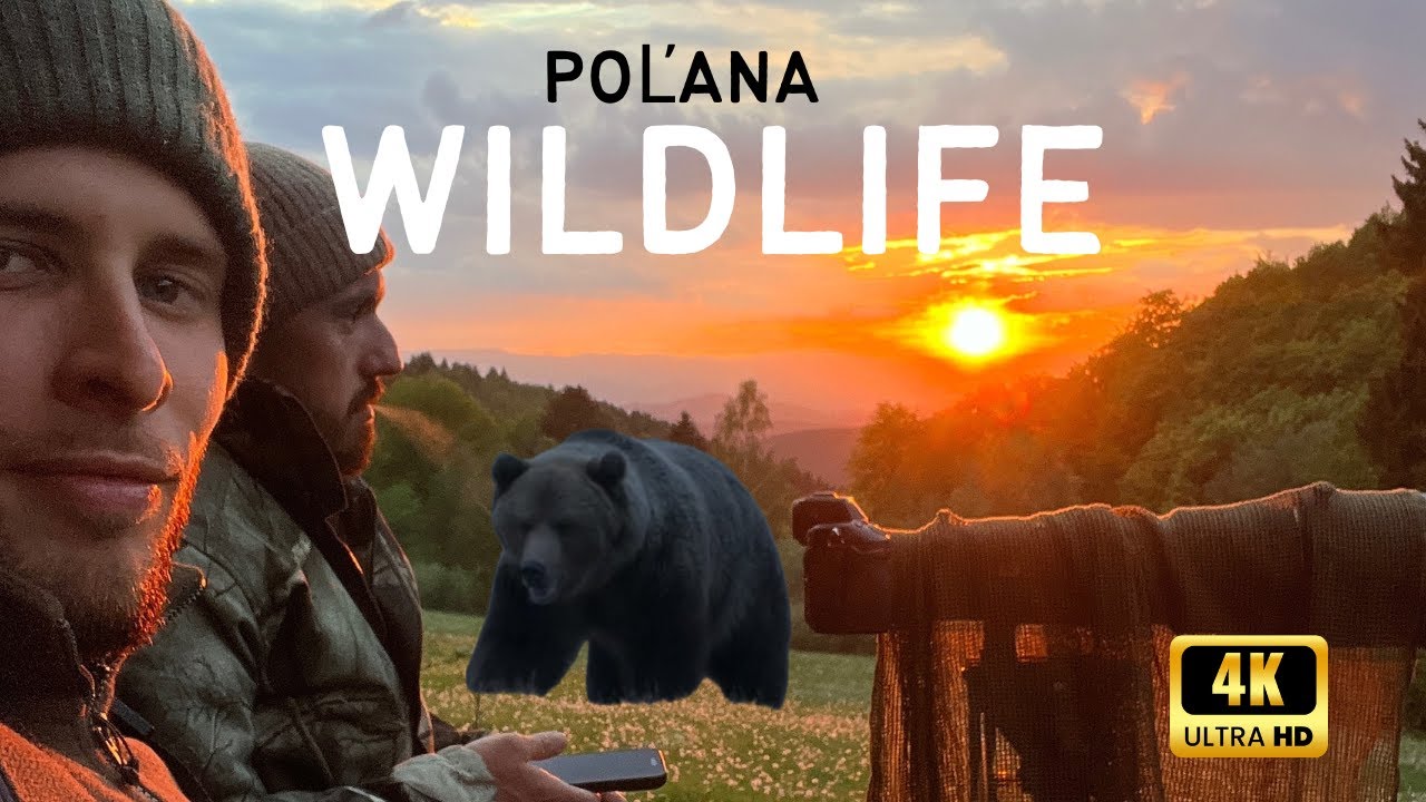 #02 Život v divočine s Medvedmi - Expert Rado ma zobral medzi Macov / 