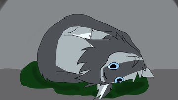 TURN THE LIGHTS OFF || Warrior cat Map || Caspian || For Tailblazer FireWolf