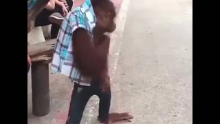 Willyrex Tiene Novia Real