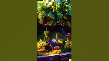 #اكسبلور القران الكريم غذاء الروح