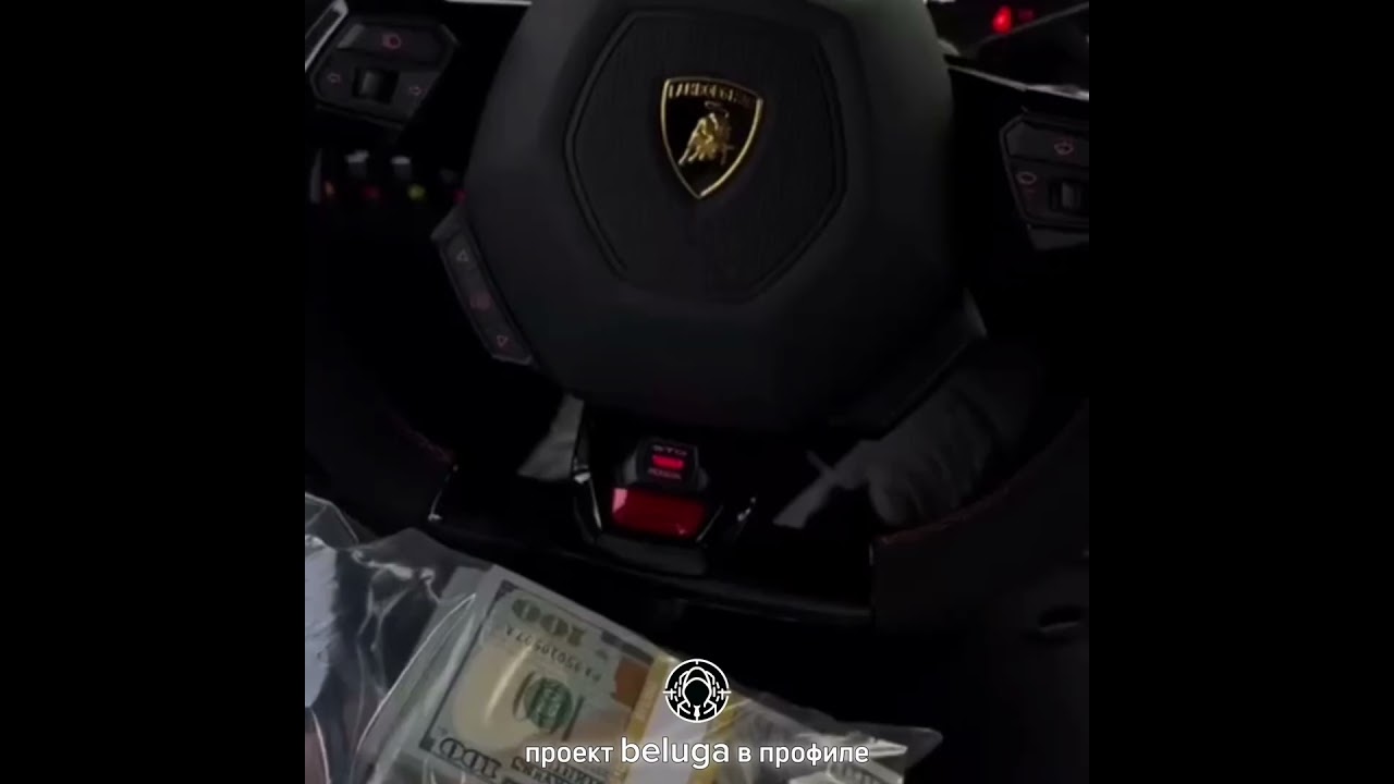 ПРОЕКТ BELUGA В ПРОФИЛЕ