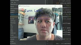 Test Run: Gaze Eye Pupil Tracker 