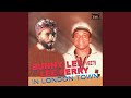 Miniature de la vidéo de la chanson Scratch' Pride And Joy Dub