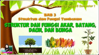 Materi smp/mts kelas 8 semester 1 bab 3 struktur dan fungsi tumbuhan
(struktur organ akar, batang, daun, bunga, buah biji) sumber buku
siswa k...