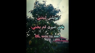 ويوم يعض الظالم على يديه | سورة الفرقان : 27-29 |🎙️حافظ محمد شہزین احمد
