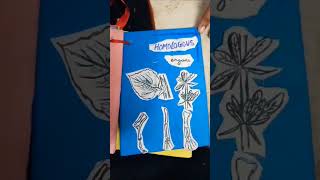 FLASHCARDS🗃️ #biologia #trending #homologousorgans #analogousorgans #class12th #medical