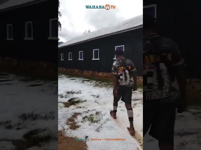 HUJAN ES DAN SALJU TURUN DI PAPUA