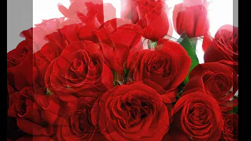 De quem é a música Choram as Rosas?