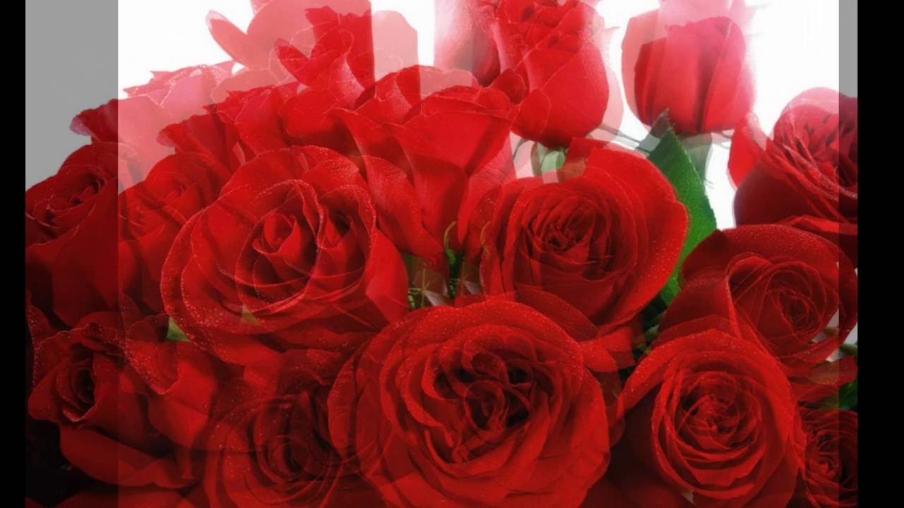 Watch bruno e marrone choram as rosas on YouTube Watch bruno e marrone choram as rosas on YouTube