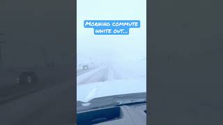 White out. #blizzard #whiteout White out. #blizzard #whiteout