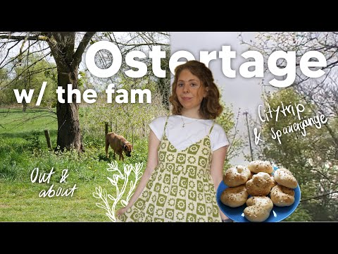 Carrot Cake, Marburg & Kirschblüten 🌸🌿🐇 Mein Ostern 2025