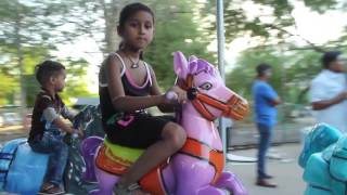 12ft Carousel - Horse Rides Games Manufacturer & Supplier