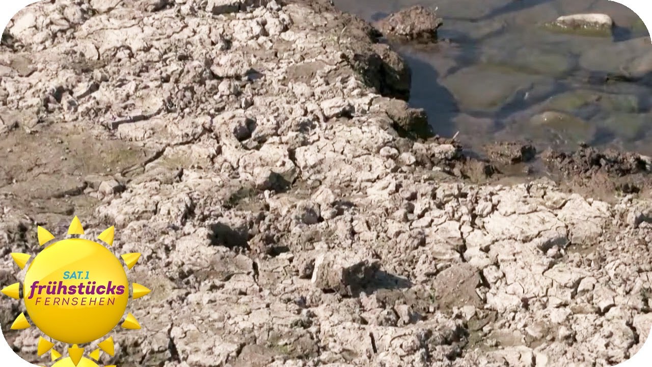 Wassernotstand wegen Hitze | hessenschau