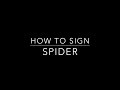 Learn How to Sign Halloween Words- Spider