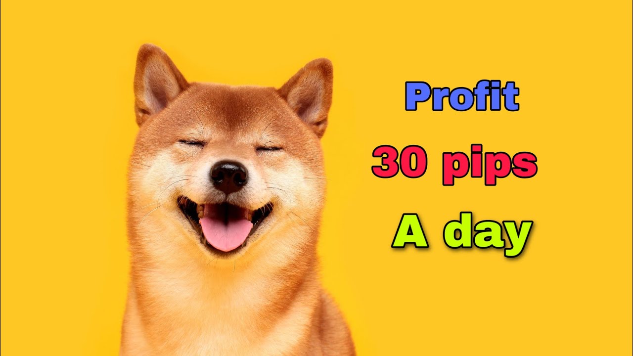 How to make money in forex trading - Day 3: 30 pips a day - YouTube