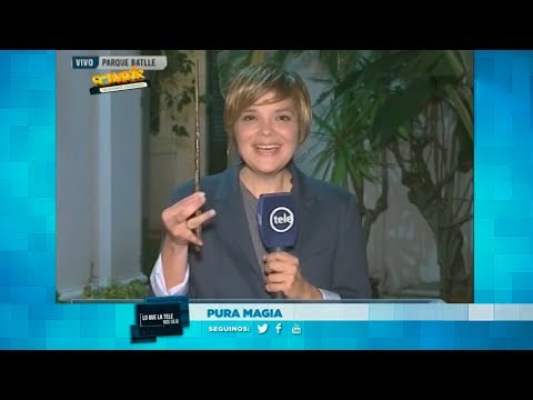 Lo que la Tele nos dejó: pura magia en los 20 años de Harry Potter