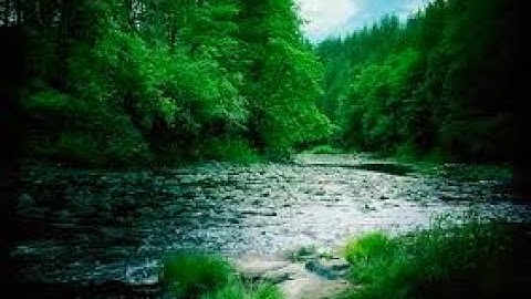 Guided Reading lesson 1