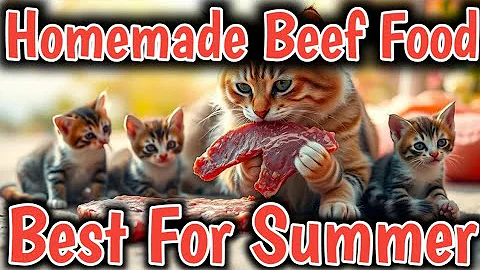 Video 8958451: persian cat food, persian cat home, persian kitten, healthy cat food