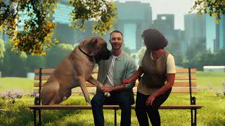 AVBOB 2026 2027 Brand TVC Digital ENG 20sec
