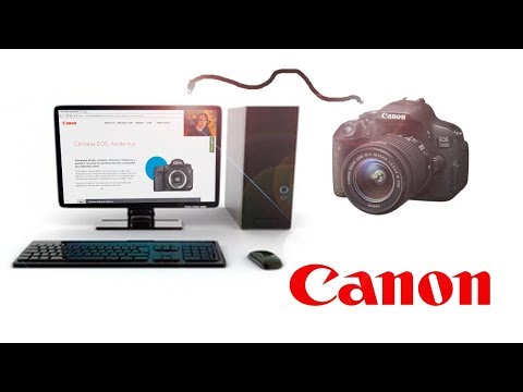 Video: ¿Cómo conecto mi Canon EOS 350d a mi computadora?