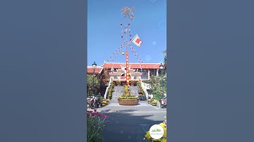 Phong tục dựng cây nêu ngày Tết