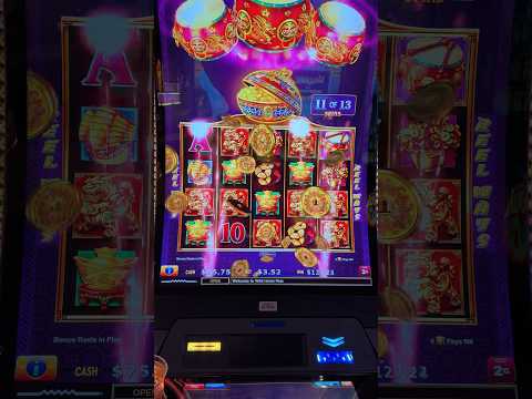 Tucanes en Chumash casino Santa Inés, Ca.